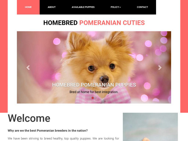 Pomeranianbreedingfamily.com - Pomeranian Puppy Scam Review