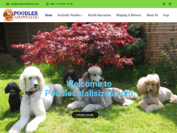 Poodlesofallsizes.com - Poodle Puppy Scam Review