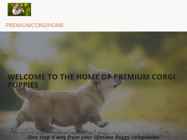 Premiumcorgishome.com - Corgi Puppy Scam Review