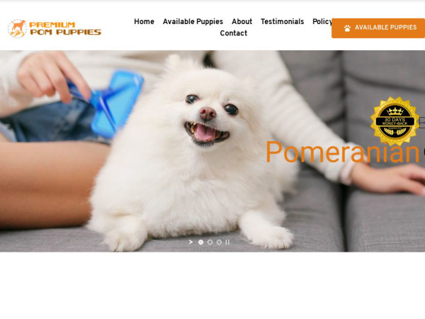 Premiumpompuppies.com - Pomeranian Puppy Scam Review