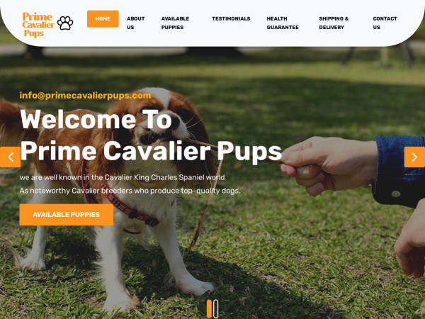 Primecavalierpups.com - Cavalier King Charles Spaniel Puppy Scam Review