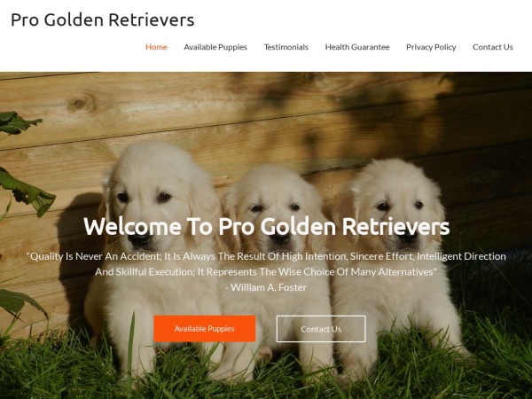 Progoldenretrievers.com - Golden Retriever Puppy Scam Review