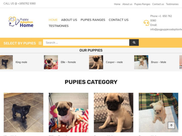 Pugpuppiesadoptionhome.com - Pug Puppy Scam Review