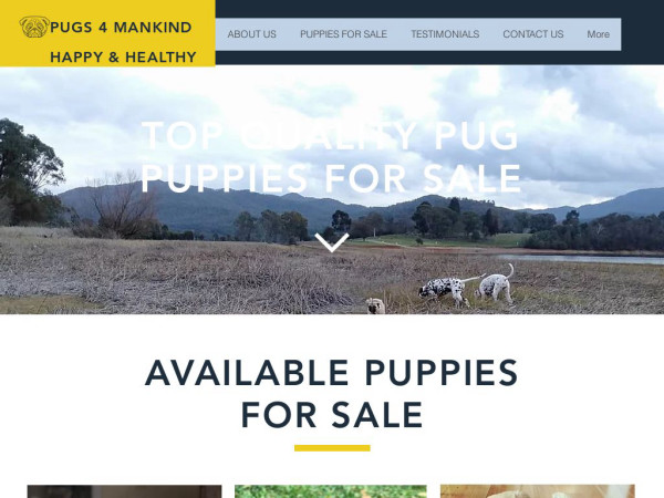 Pugs4mankind.com - Pug Puppy Scam Review