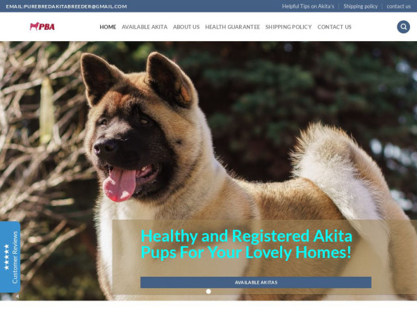 Purebredakitabreeder.com - Akita Puppy Scam Review