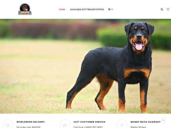 Purerottweiler.com - Rottweiler Puppy Scam Review