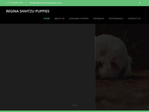 Reginashihtzupuppies.com - Shihtzu Puppy Scam Review