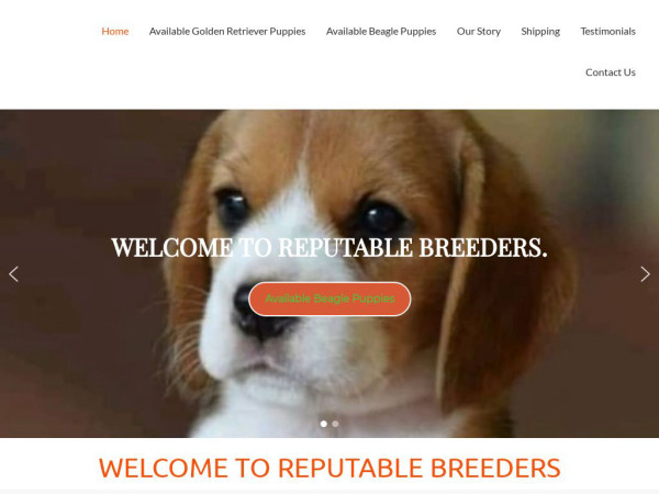 Reputable-breeders.com - Golden Retriever Puppy Scam Review