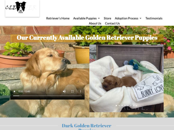 Retriever-home.com - Golden Retriever Puppy Scam Review