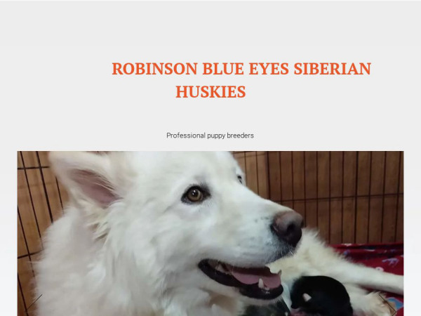 Robinsonhuskies.com - Husky Puppy Scam Review