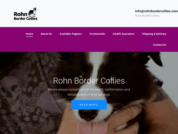 Rohnbordercollies.com - Bordercollie Puppy Scam Review