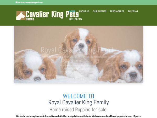 Royalcavalierkingfamily.com - Cavalier King Charles Spaniel Puppy Scam Review