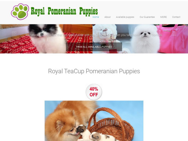 Royalpompups.com - Pomeranian Puppy Scam Review