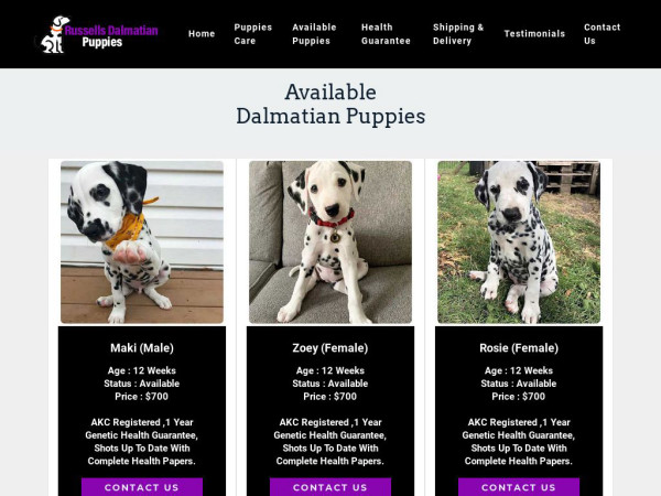 Russellsdalmatianpuppies.com - Labrador Puppy Scam Review