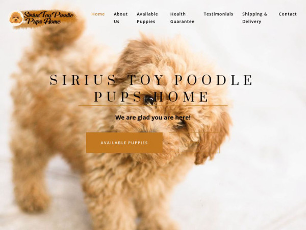 Siriustoypoodlepupshome.com - Poodle Puppy Scam Review