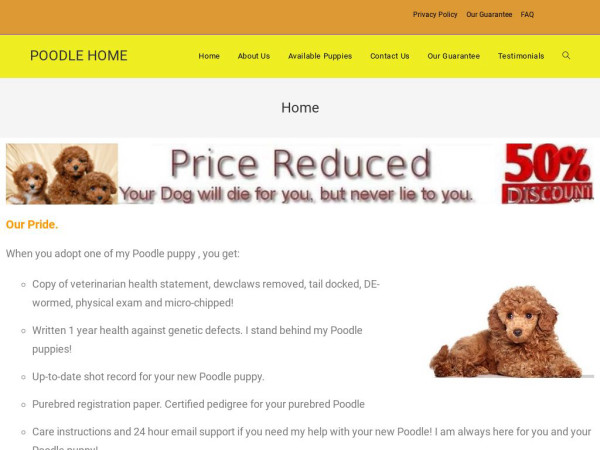 Slayhomeforpups.com - Poodle Puppy Scam Review