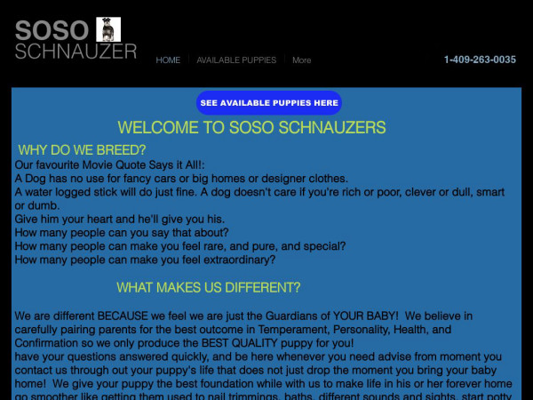 Sososchnauzers.site - Schnauzer Puppy Scam Review