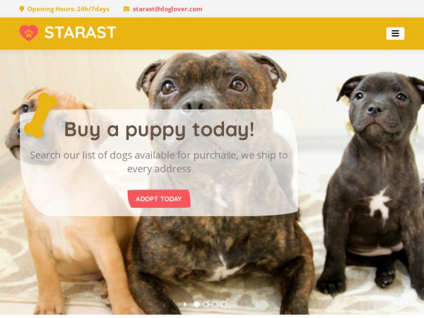 Staramericanstaffordshireterrier.com - Terrier Puppy Scam Review