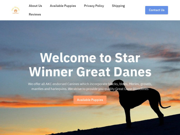 Starwinnersgreatdanepuppies.com - Great Dane Puppy Scam Review