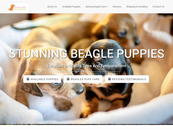 Stunningbeaglepuppies.com - Beagle Puppy Scam Review