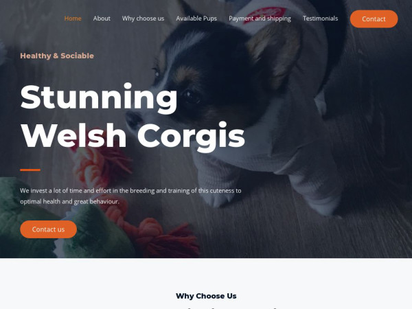 Stunningwelshcorgis.com - Corgi Puppy Scam Review