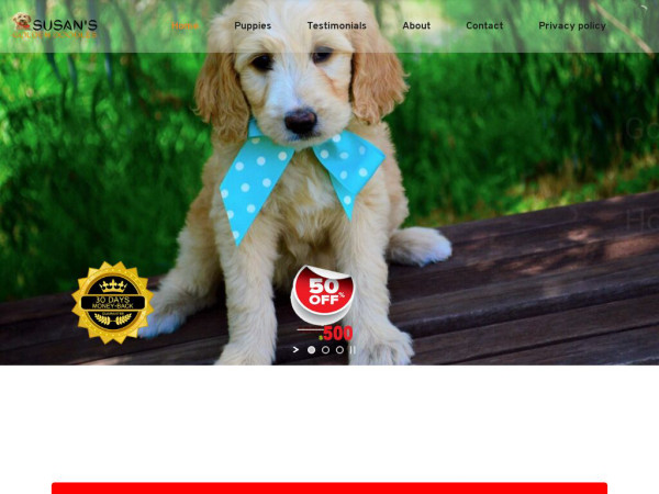 Susansgoldendoodles.com - Golden Doodle Puppy Scam Review