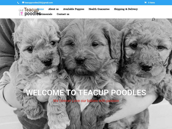 Teacupoodles.cc - Poodle Puppy Scam Review