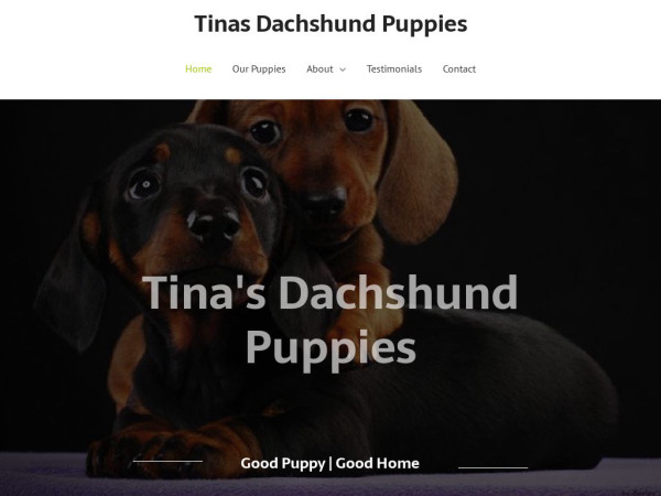 Tinasdachshundpuppies.com - Dachshund Puppy Scam Review