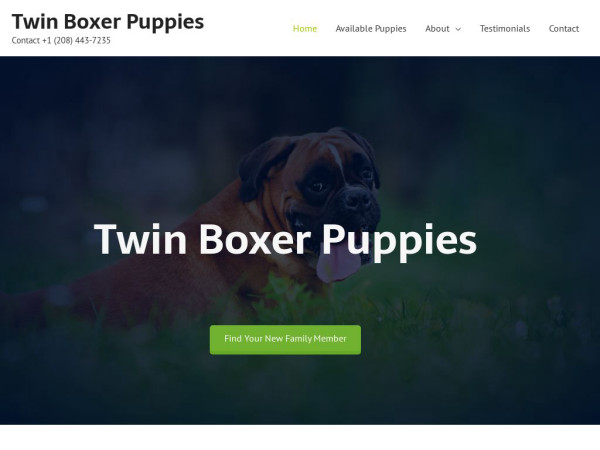 Twinboxerpuppies.com - Boxer Puppy Scam Review