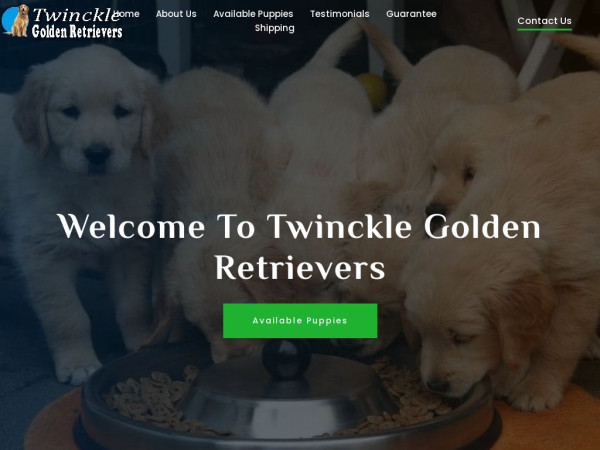 Twincklegoldenretrievers.com - Golden Retriever Puppy Scam Review