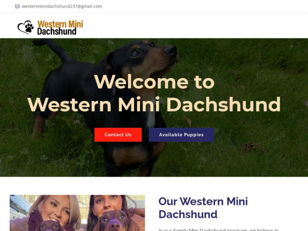 Westernminidachshund.com - Dachshund Puppy Scam Review