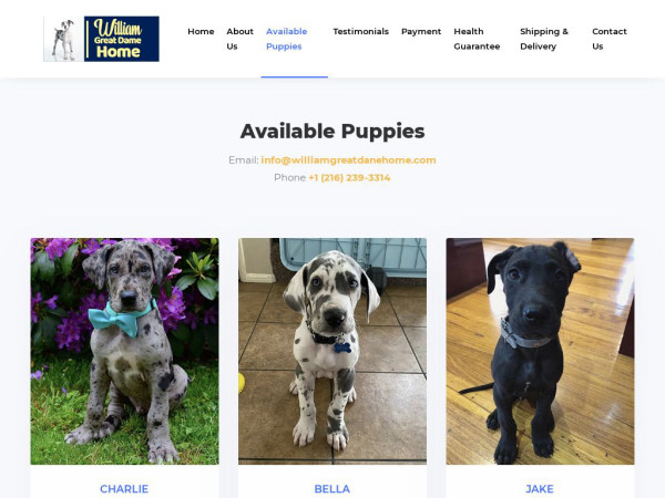 Williamgreatdanehome.com - Great Dane Puppy Scam Review