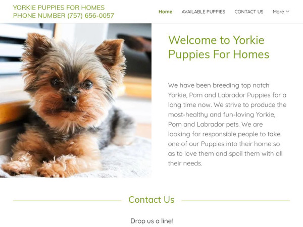 Yorkiepuppiesforhomes.com - Yorkshire Terrier Puppy Scam Review