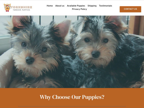 Yorkshireterrierpuppieshome.com - Terrier Puppy Scam Review