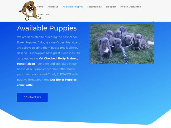 Zanolboxerpuppies.com - Boxer Puppy Scam Review