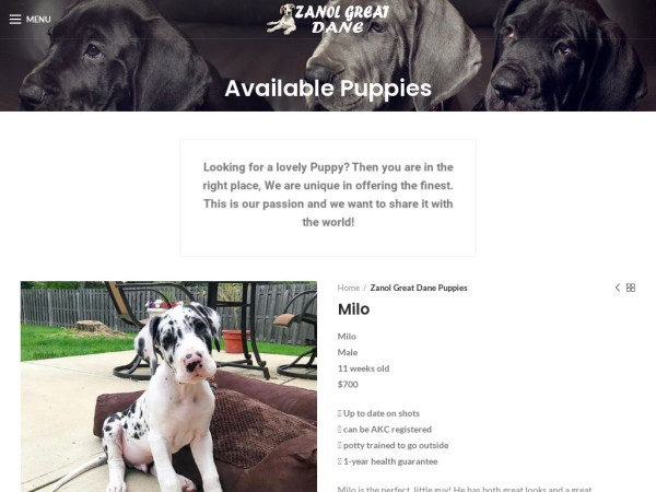 Zanolgreatdane.com - Great Dane Puppy Scam Review