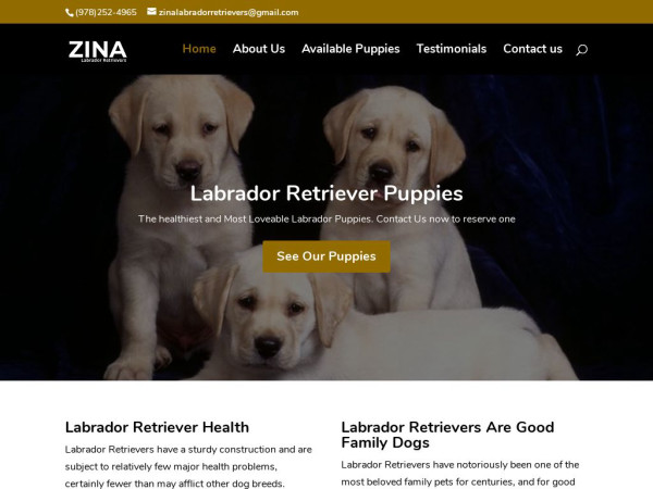 Zinalabradorretrievers.com - Golden Retriever Puppy Scam Review