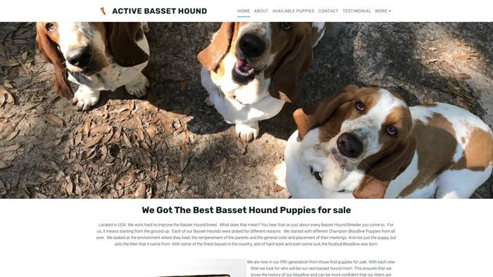 Activebassethoundpups.com - Bassethound Puppy Scam Review