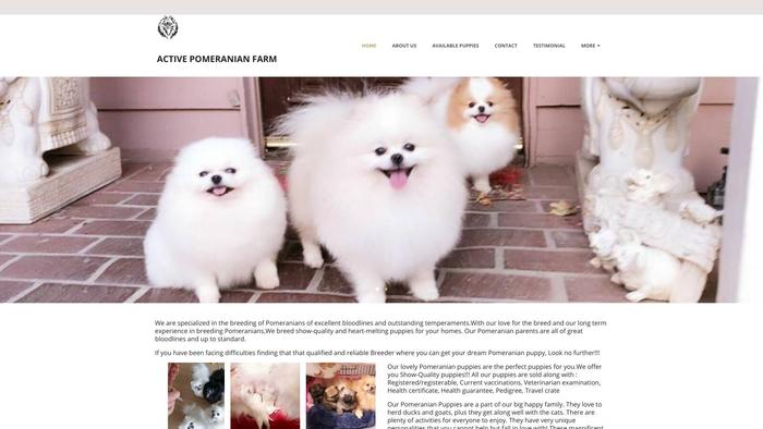 Activepomeranianpups.net - Pomeranian Puppy Scam Review