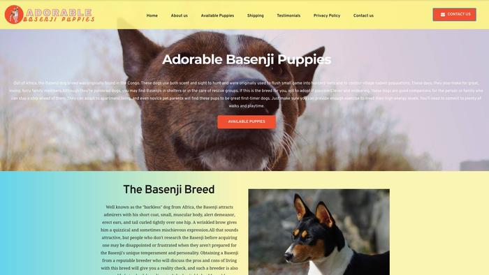 Adorablebasenjipuppies.com - Basenji Puppy Scam Review