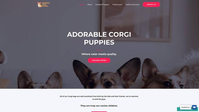 Adorablecorgipuppies.com - Corgi Puppy Scam Review