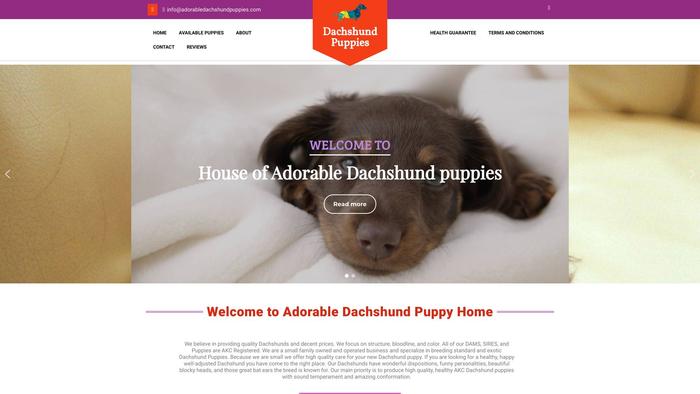 Adorabledachshundpuppies.com - Dachshund Puppy Scam Review