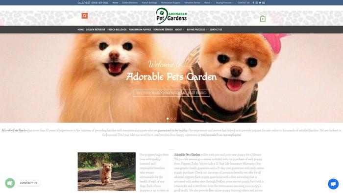 Adorablepetsgarden.com - Yorkshire Terrier Puppy Scam Review