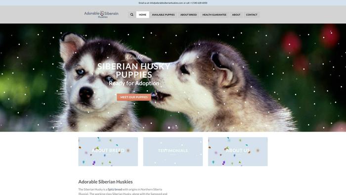 Adorablesiberianhuskies.com - Husky Puppy Scam Review