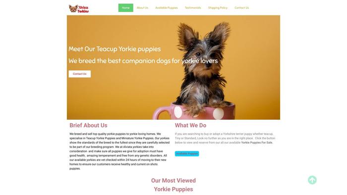 Alviatayorkies.com - Yorkshire Terrier Puppy Scam Review