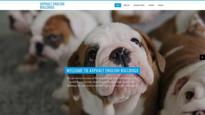 Asphaltenglishbulldogs.com - English Bulldog Puppy Scam Review