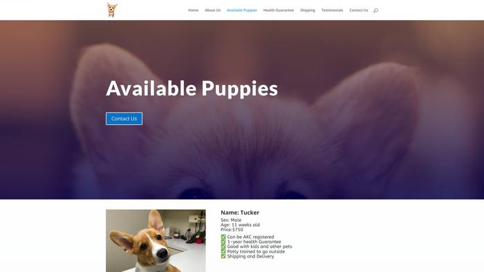 Audreycorgipuppies.com - Corgi Puppy Scam Review