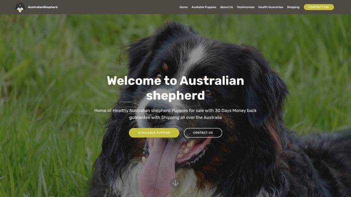 Australianshepherdsforsale.com - Germanshepherd Puppy Scam Review