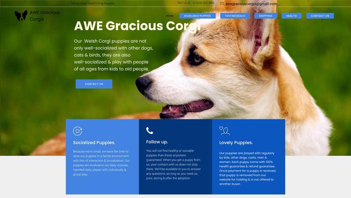 Awegraciouscorgi.com - Corgi Puppy Scam Review