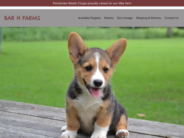 Barhfarmcorgis.com - Corgi Puppy Scam Review